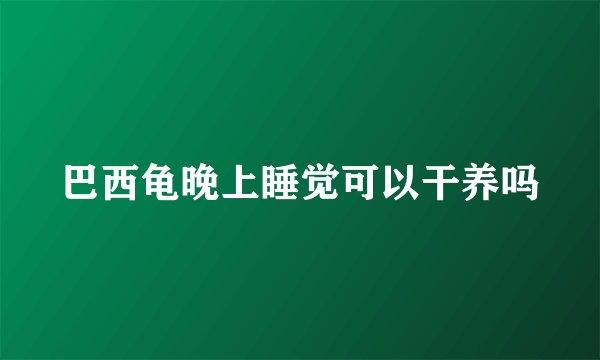 巴西龟晚上睡觉可以干养吗