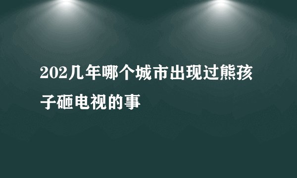 202几年哪个城市出现过熊孩子砸电视的事