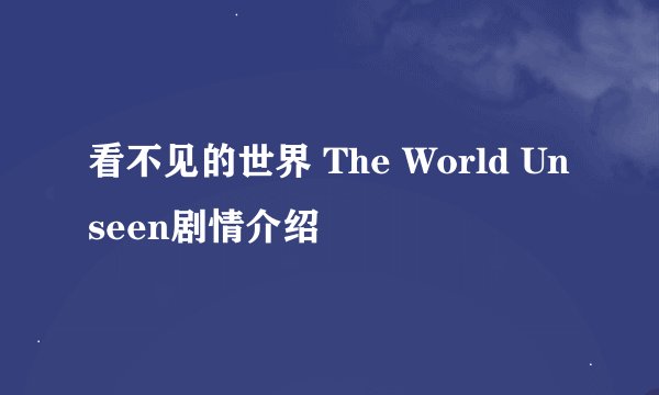 看不见的世界 The World Unseen剧情介绍