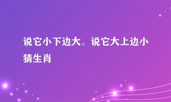 说它小下边大。说它大上边小猜生肖