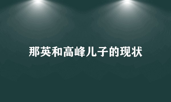 那英和高峰儿子的现状