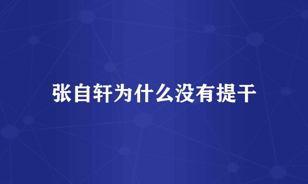 张自轩为什么没有提干
