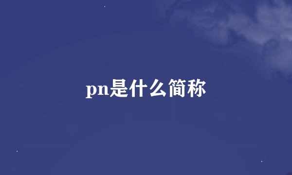 pn是什么简称