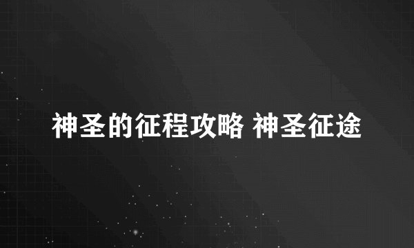 神圣的征程攻略 神圣征途