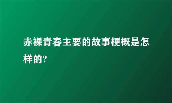 赤裸青春主要的故事梗概是怎样的?
