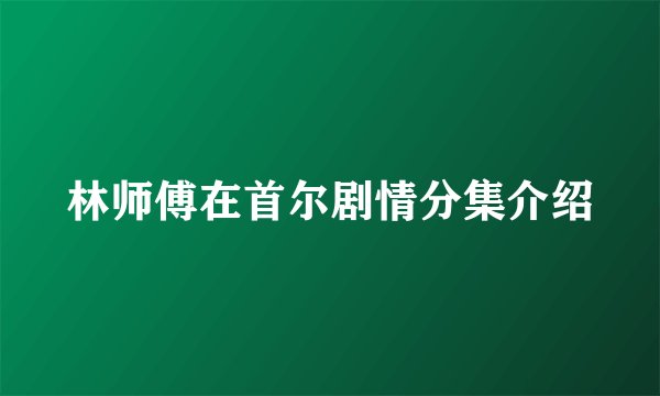 林师傅在首尔剧情分集介绍