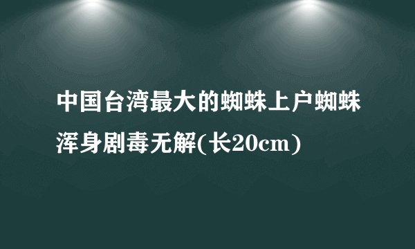 中国台湾最大的蜘蛛上户蜘蛛浑身剧毒无解(长20cm)