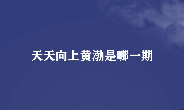 天天向上黄渤是哪一期