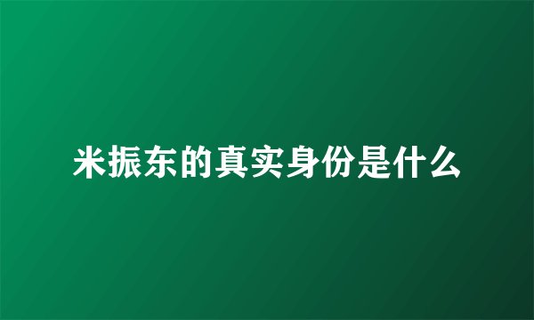 米振东的真实身份是什么