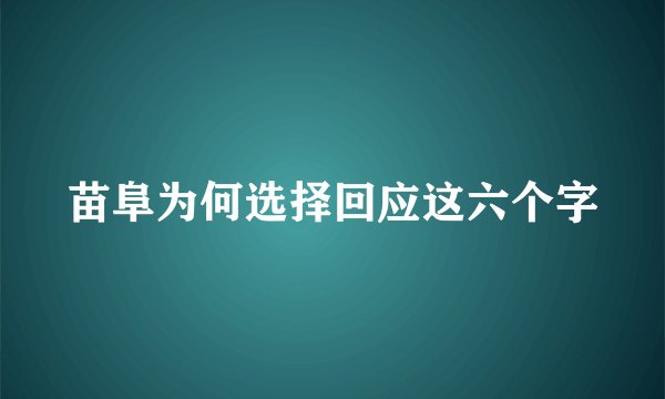 苗阜为何选择回应这六个字