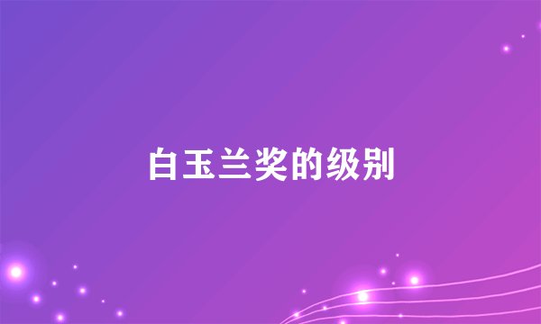 白玉兰奖的级别