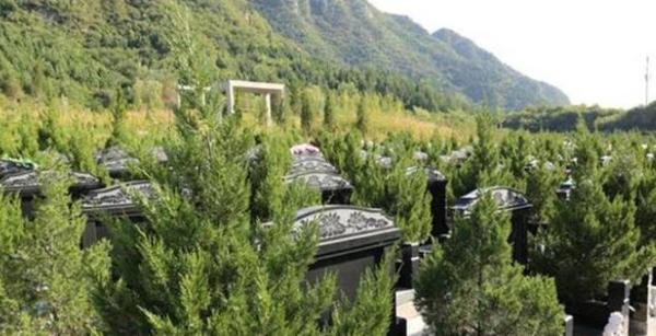 上海汇龙园陵园价格公墓地址!