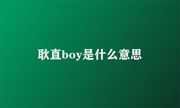 耿直boy是什么意思
