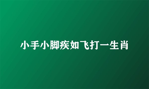 小手小脚疾如飞打一生肖