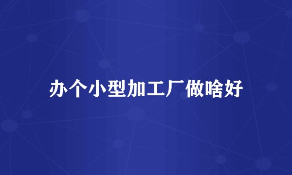 办个小型加工厂做啥好