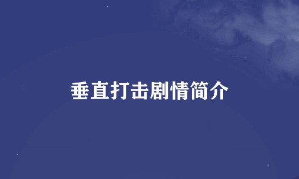垂直打击剧情简介