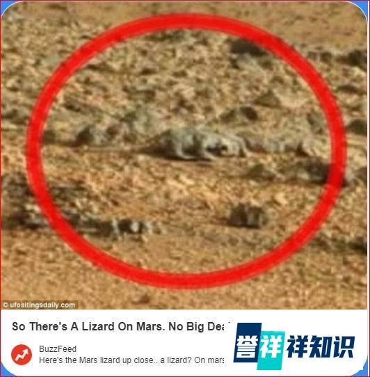 NASA好奇号又有惊人发现!火星现“爬行蜥蜴”