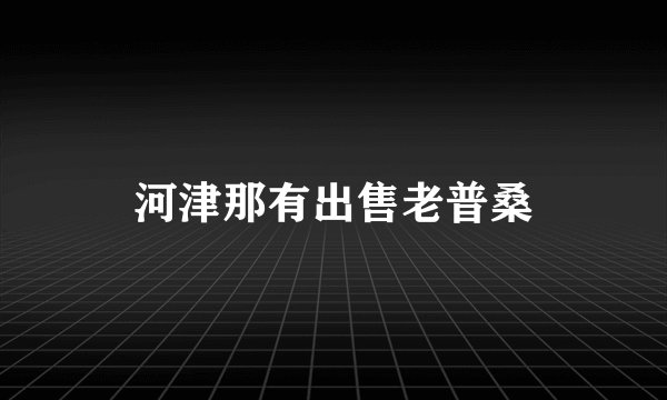 河津那有出售老普桑