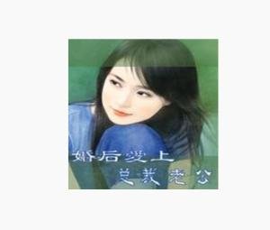 婚后爱上我的总裁老公的小说目录