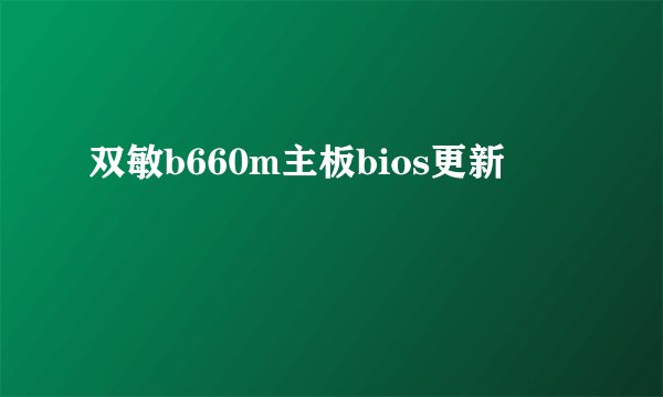 双敏b660m主板bios更新