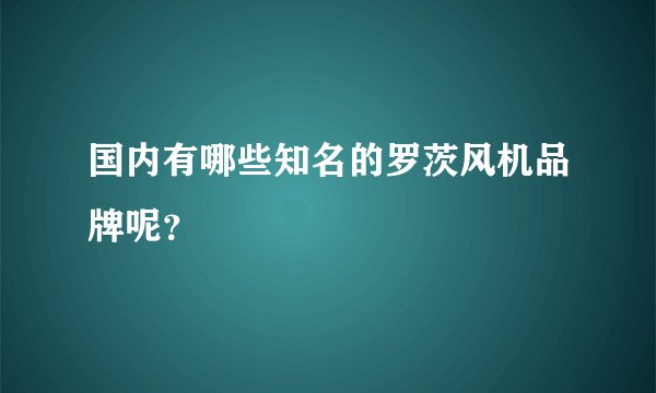 国内有哪些知名的罗茨风机品牌呢？