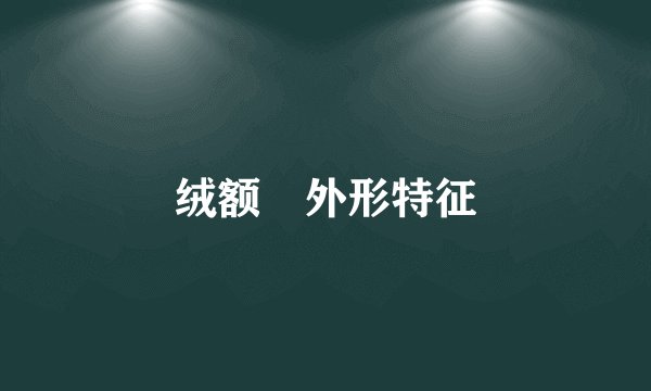 绒额鳾外形特征