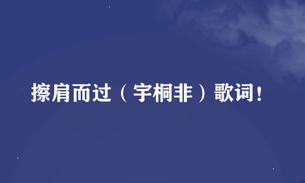 擦肩而过（宇桐非）歌词！