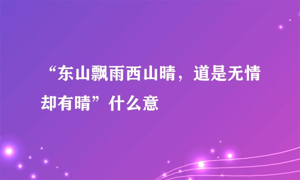 “东山飘雨西山晴，道是无情却有晴”什么意