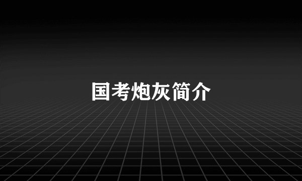 国考炮灰简介