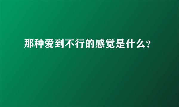 那种爱到不行的感觉是什么？