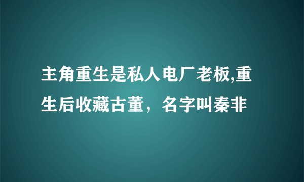 主角重生是私人电厂老板,重生后收藏古董，名字叫秦非