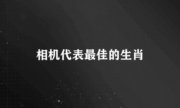 相机代表最佳的生肖