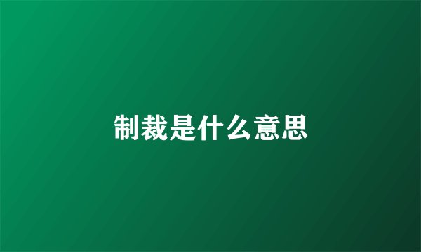 制裁是什么意思