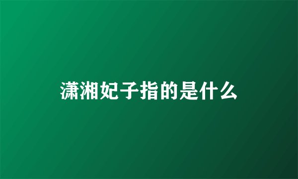 潇湘妃子指的是什么
