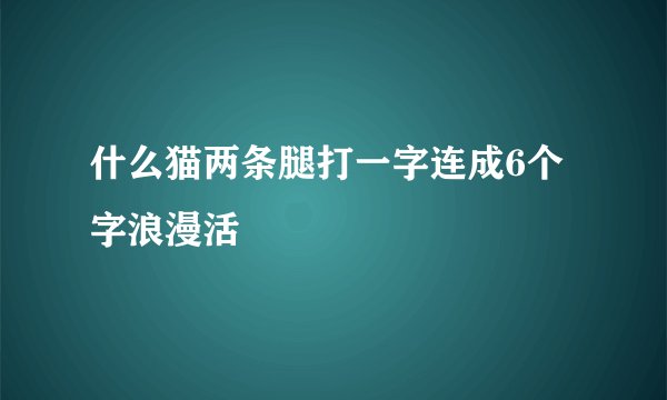 什么猫两条腿打一字连成6个字浪漫活