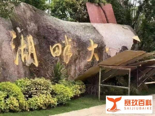 湖畔大学改名了,我啰嗦几句