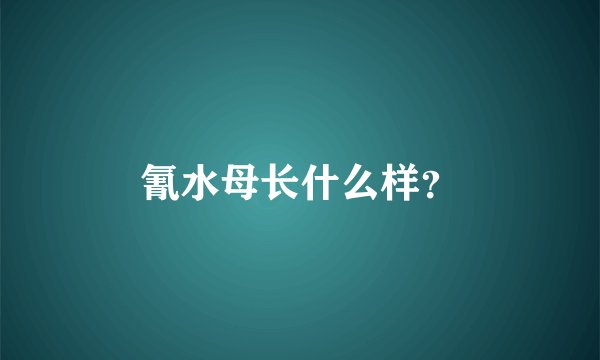 氰水母长什么样？