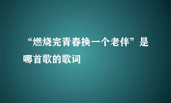 “燃烧完青春换一个老伴”是哪首歌的歌词