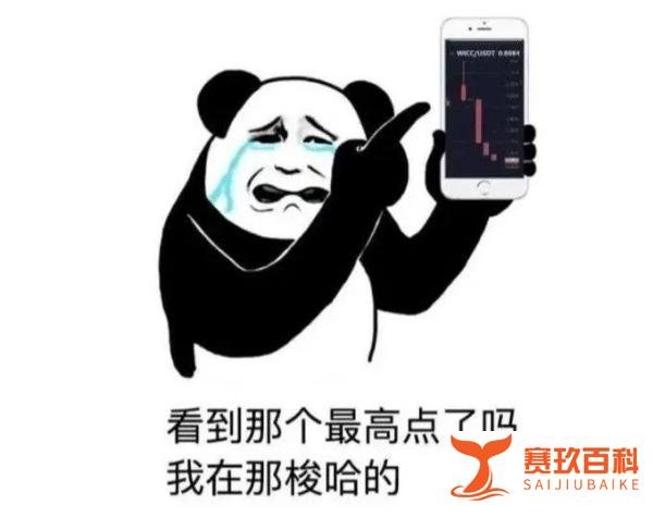 本轮熊市的导火索：luna崩盘！带动整个币圈跌落熊市！！