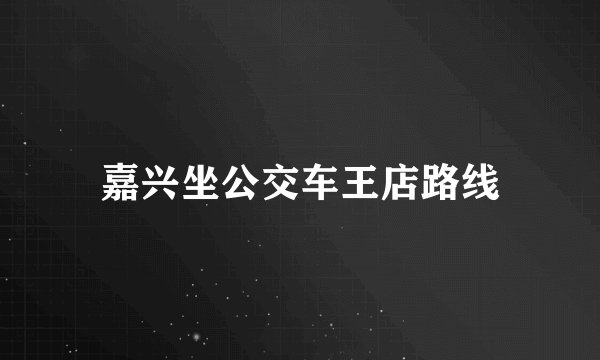 嘉兴坐公交车王店路线
