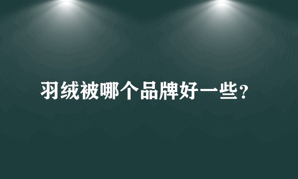 羽绒被哪个品牌好一些？
