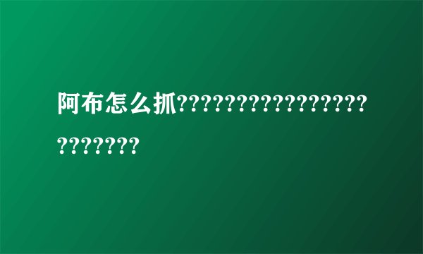 阿布怎么抓???????????????????????