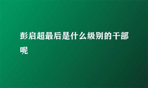彭启超最后是什么级别的干部呢