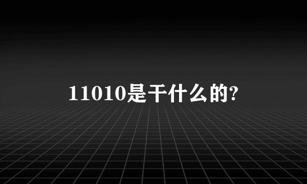 11010是干什么的?
