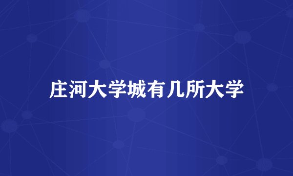 庄河大学城有几所大学