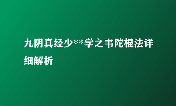 九阴真经少**学之韦陀棍法详细解析