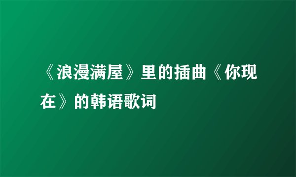 《浪漫满屋》里的插曲《你现在》的韩语歌词