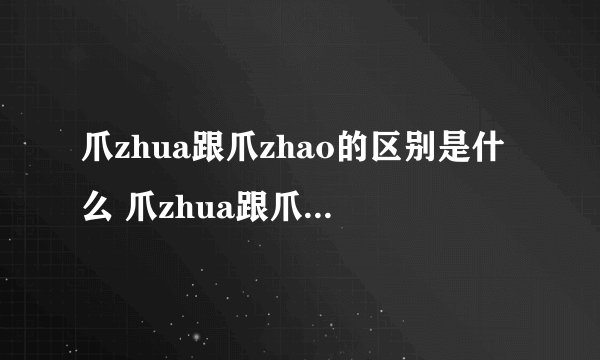 爪zhua跟爪zhao的区别是什么 爪zhua跟爪zhao有什么区别