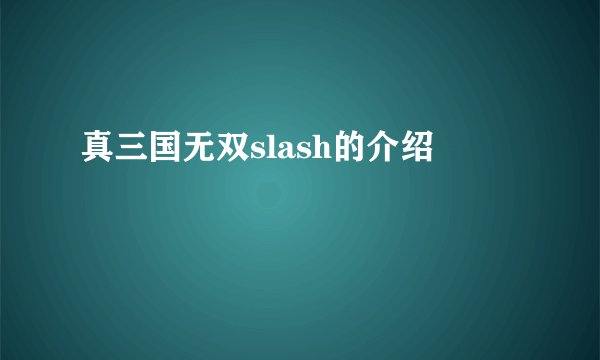 真三国无双slash的介绍