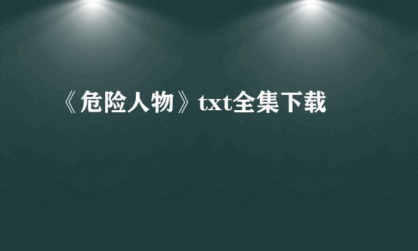《危险人物》txt全集下载